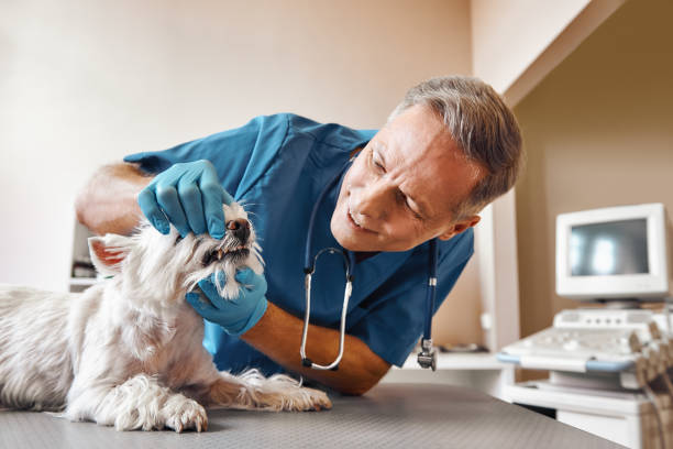 Best Emergency Wisdom Teeth Removal in Cashion, OK