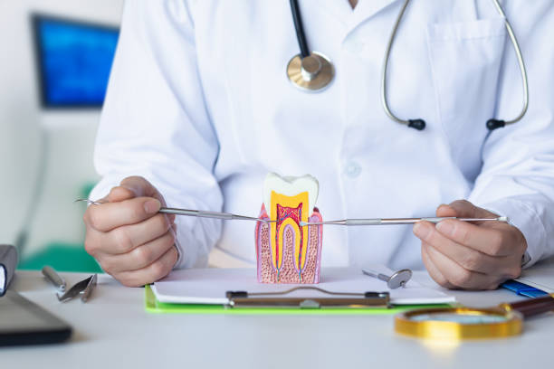 Best Weekend Emergency Dentist in Cashion, OK